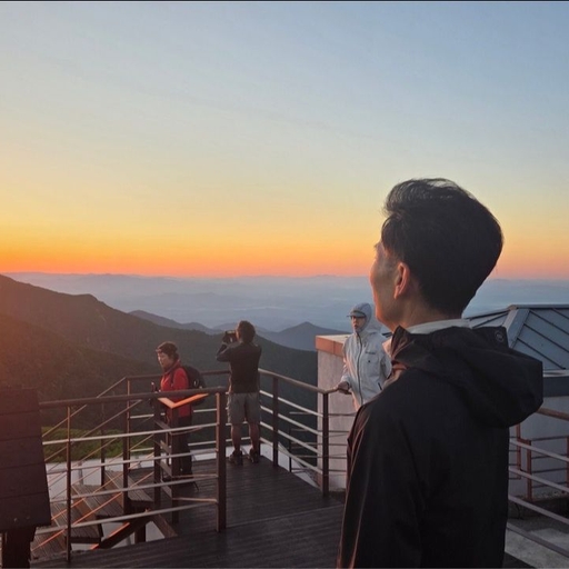 피드 이미지
