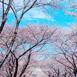 피드에 업로드 된 이미지