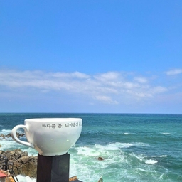 피드에 업로드 된 이미지