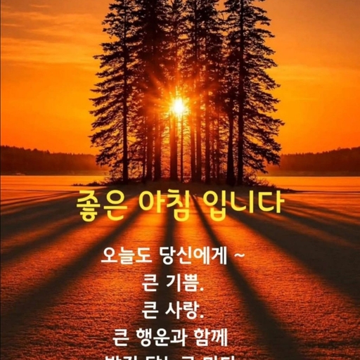 피드 이미지