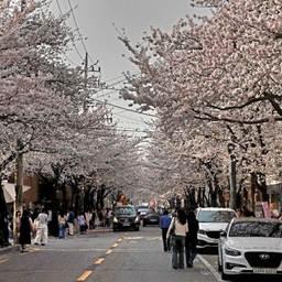 피드에 업로드 된 이미지