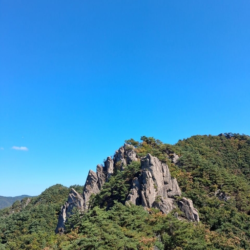 피드 이미지