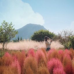 피드에 업로드 된 이미지