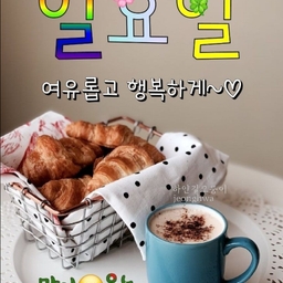 피드에 업로드 된 이미지