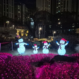 피드에 업로드 된 이미지