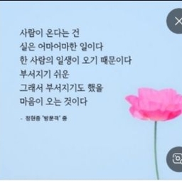 피드에 업로드 된 이미지