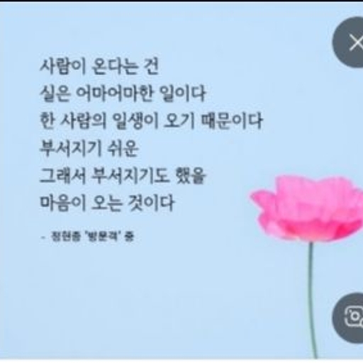 피드 이미지