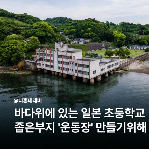 피드 이미지