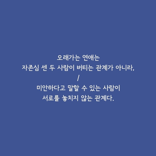 피드 이미지