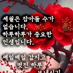 피드에 업로드 된 이미지