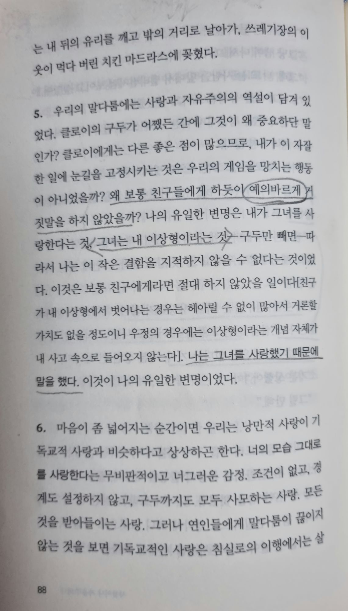 피드 이미지