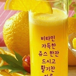 피드에 업로드 된 이미지