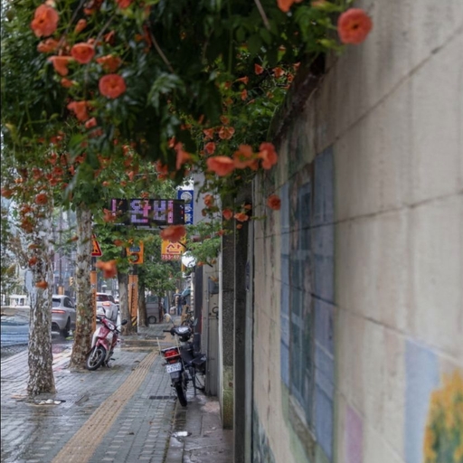 피드 이미지
