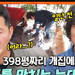 피드에 업로드 된 이미지