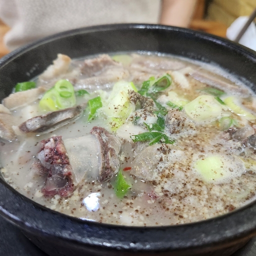 피드 이미지