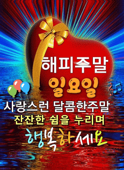 피드에 업로드 된 이미지