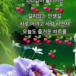 피드에 업로드 된 이미지