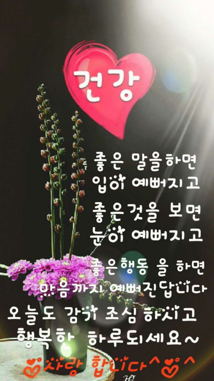 피드에 업로드 된 이미지