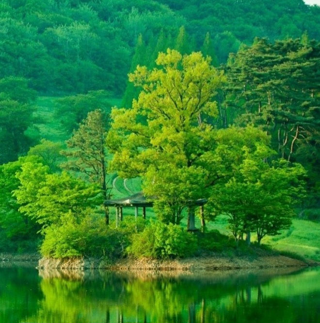 모임 이미지