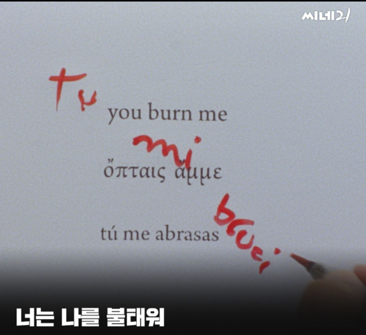 피드 이미지