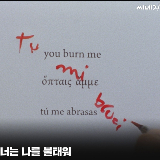 피드 이미지