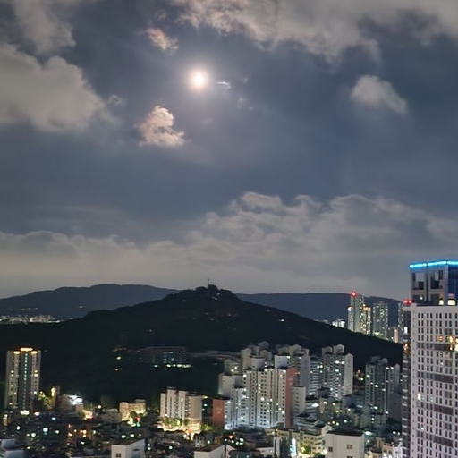 피드 이미지