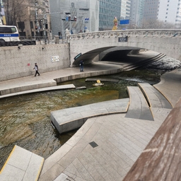 피드에 업로드 된 이미지