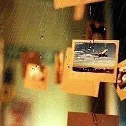 피드에 업로드 된 이미지