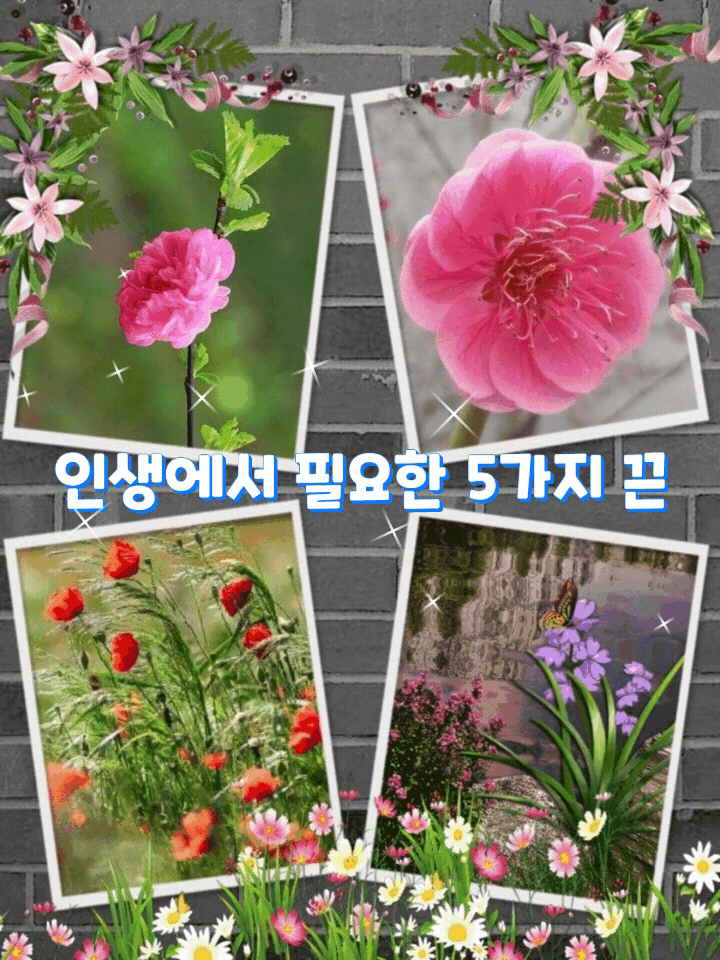 피드에 업로드 된 이미지