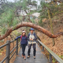 피드에 업로드 된 이미지