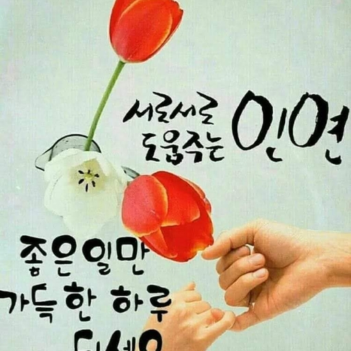 피드 이미지