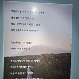 피드에 업로드 된 이미지
