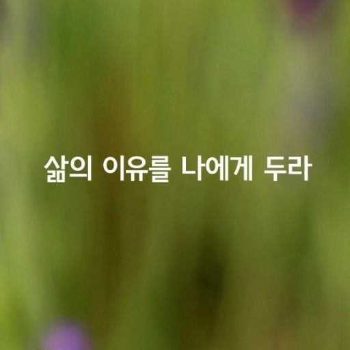 피드에 업로드 된 이미지