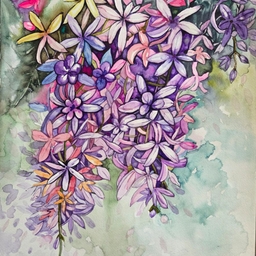 피드에 업로드 된 이미지