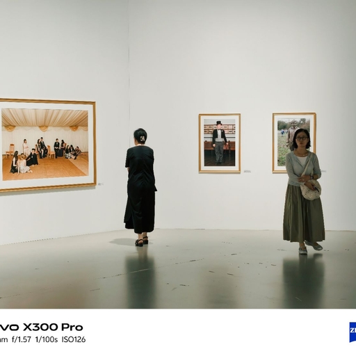 피드 이미지