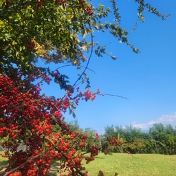 피드에 업로드 된 이미지