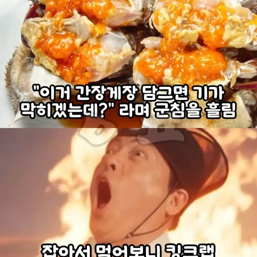 피드 이미지