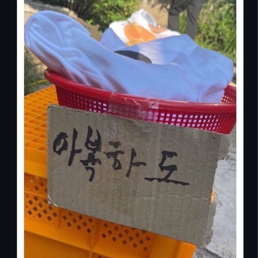 피드 이미지