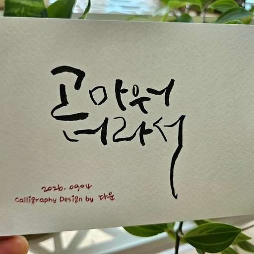 피드 이미지