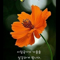 피드에 업로드 된 이미지