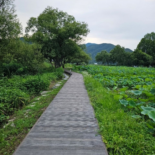 모임 대표 이미지