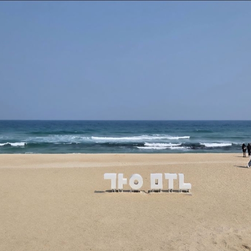 피드 이미지