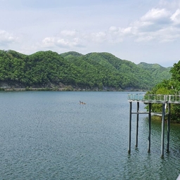 피드에 업로드 된 이미지