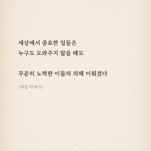 피드 이미지