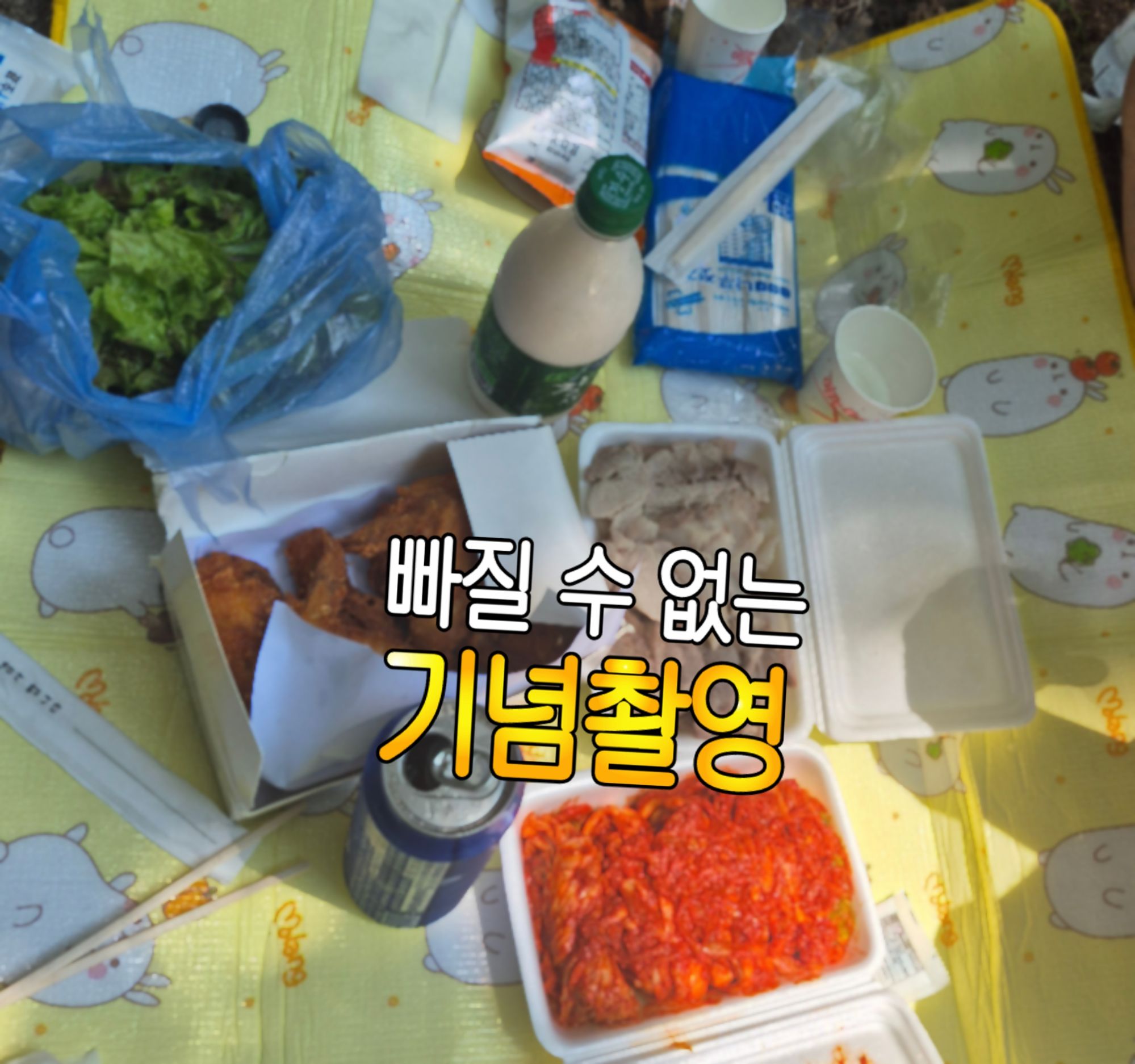 피드 이미지