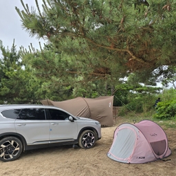 공지사항에 업로드 된 이미지