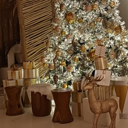 피드에 업로드 된 이미지