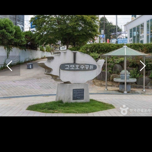 피드 이미지
