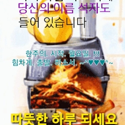 피드에 업로드 된 이미지