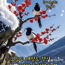 피드에 업로드 된 이미지